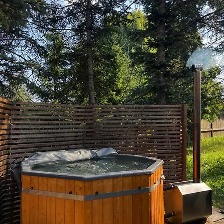 The Dacha Escape *